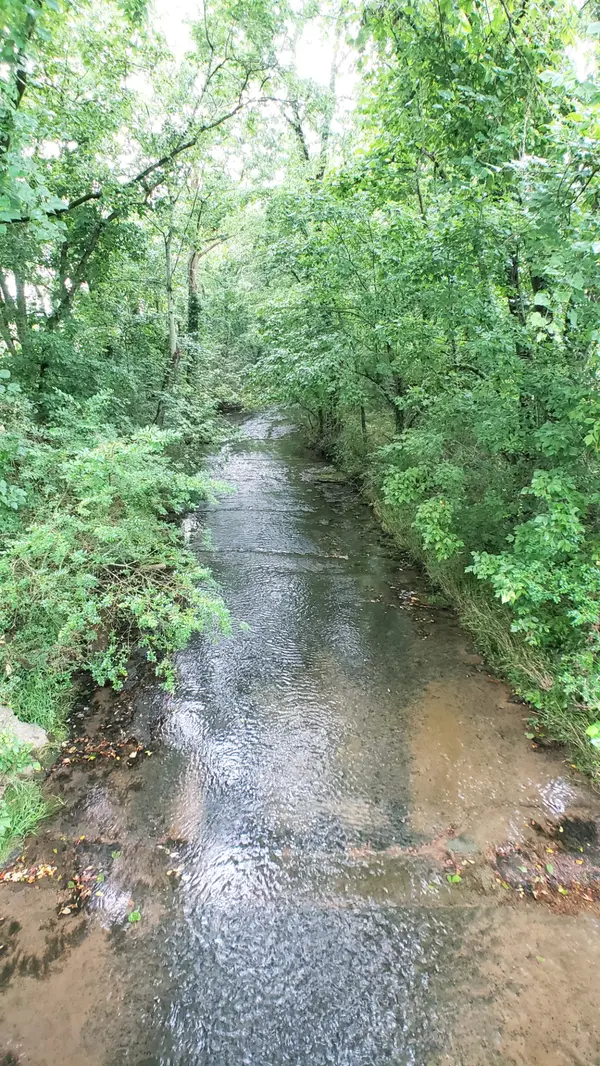 0 Bankshire Rd, Beechgrove, TN 37018