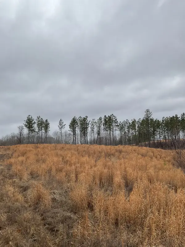0 Sagebrush Way, Dover, TN 37058