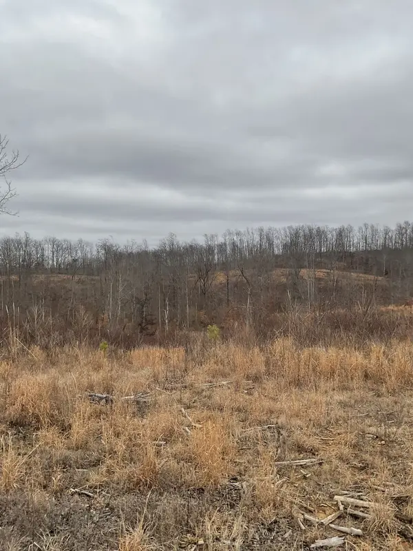 0 Saddleback Drive, Dover, TN 37058