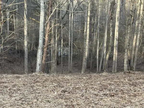 0 Poss Rd, Smithville, TN 37166
