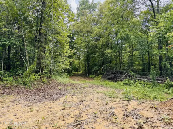 0 Collins Tpke, Deer Lodge, TN 37726