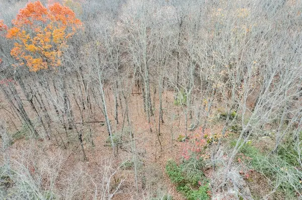 0 Homestead Ln, Crawford, TN 38554