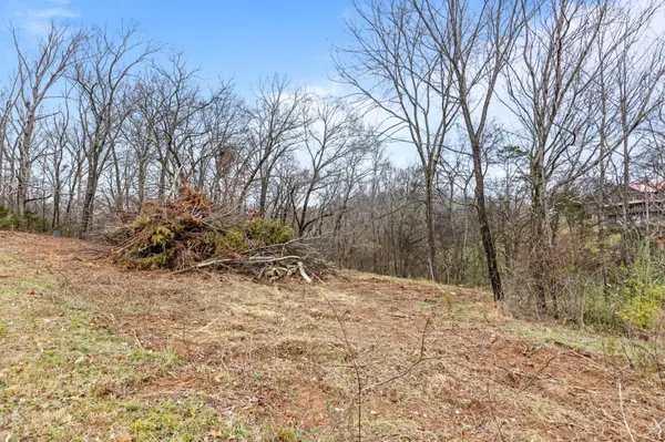 0 Scenic Hollow Drive, Dunlap, TN 37327
