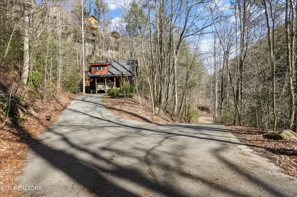 253 Cartertown Rd, Gatlinburg, TN 37738