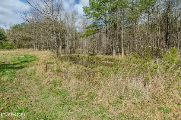 1259 Steve Brown Rd, Bean Station, TN 37708