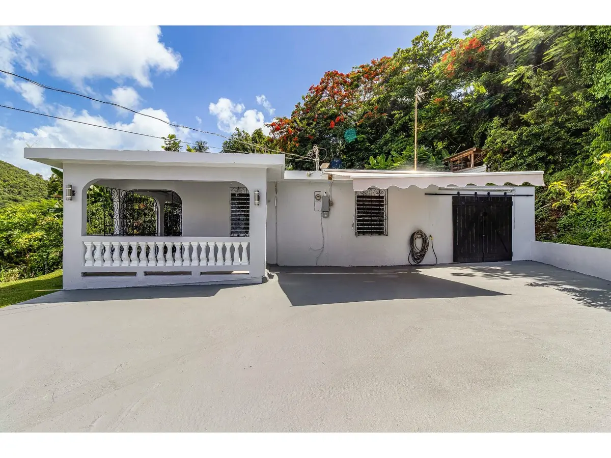 617 BARRIO PALMAS, CARRETERA GUAYACAN, Arroyo, PR 00714
