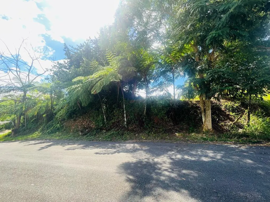 URB. HACIENDA LA CIMA CEIBA ST. #17, Cidra, PR 00739