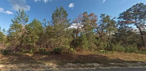 NE 237TH LN, Orange Springs, FL 32182