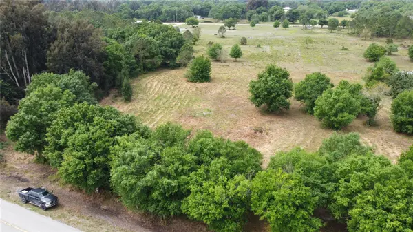 BLUFF HAMMOCK RD #LT37, Lorida, FL 33857
