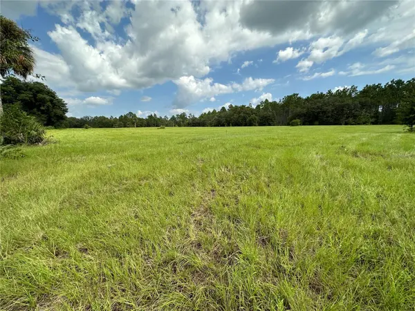 9950 SE COUNTY ROAD 337, Dunnellon, FL 34431