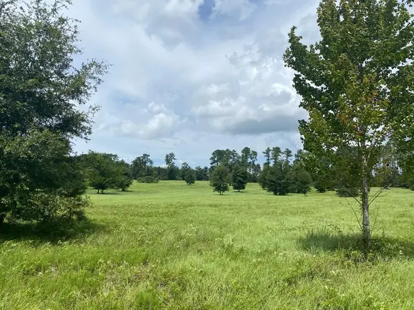 NW 160TH AVE., Williston, FL 32696