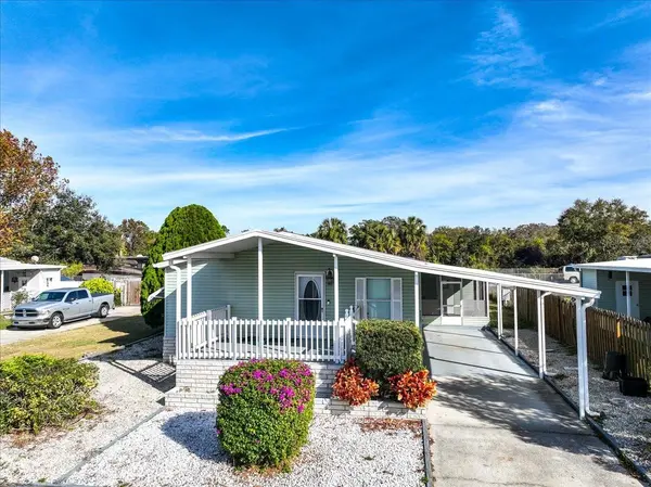 8447 FANTASIA PARK WAY, Riverview, FL 33578