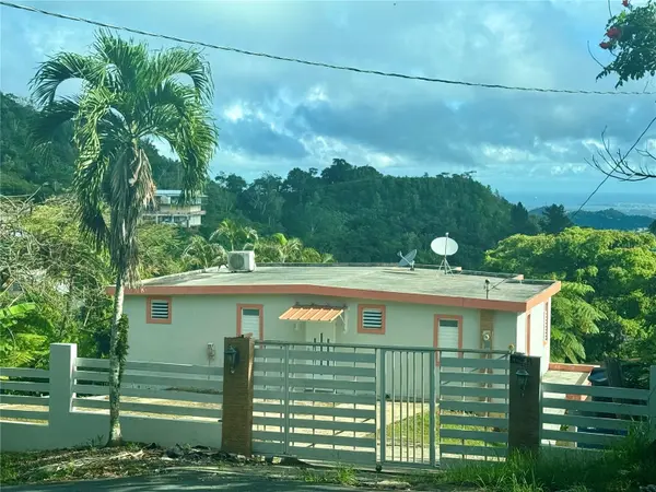 Carr 792 792, Aguas Buenas, PR 00703