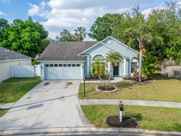 5203 WATSON RD, Riverview, FL 33578