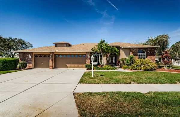 1217 RAMBLING VINE CT, Trinity, FL 34655