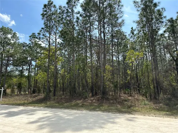 TINAMOU AVE, Weeki Wachee, FL 34614