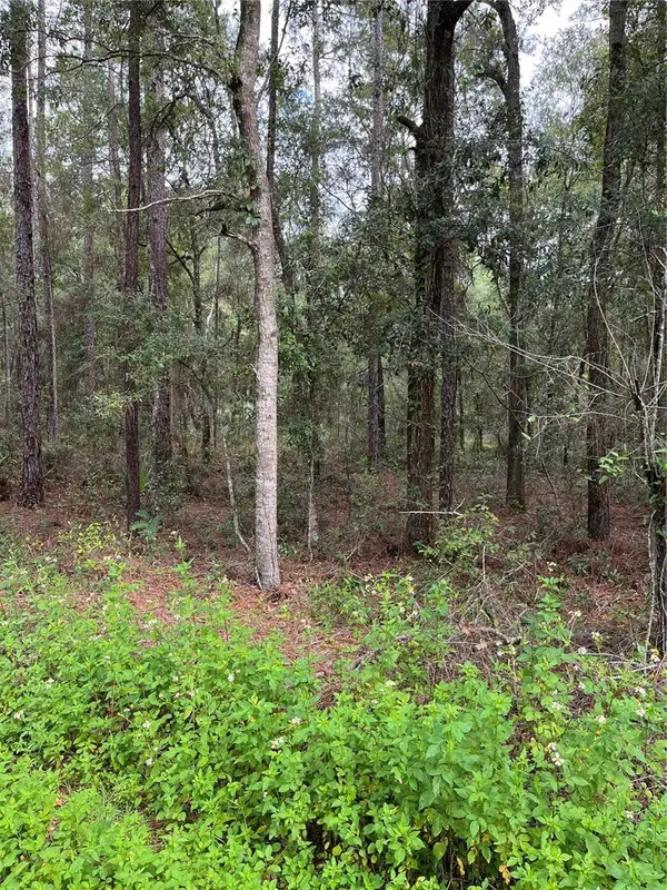 00 SW 50TH PL, Dunnellon, FL 34431