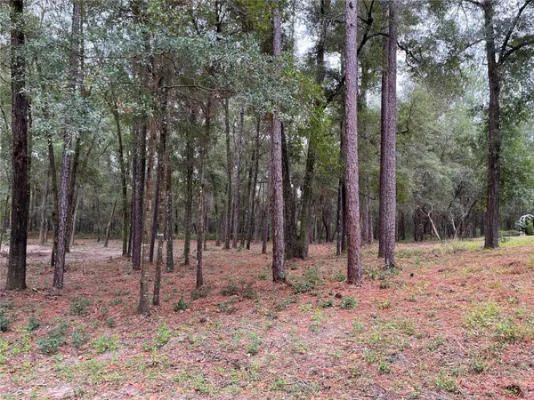 TBD SW 188TH CIR, Dunnellon, FL 34432