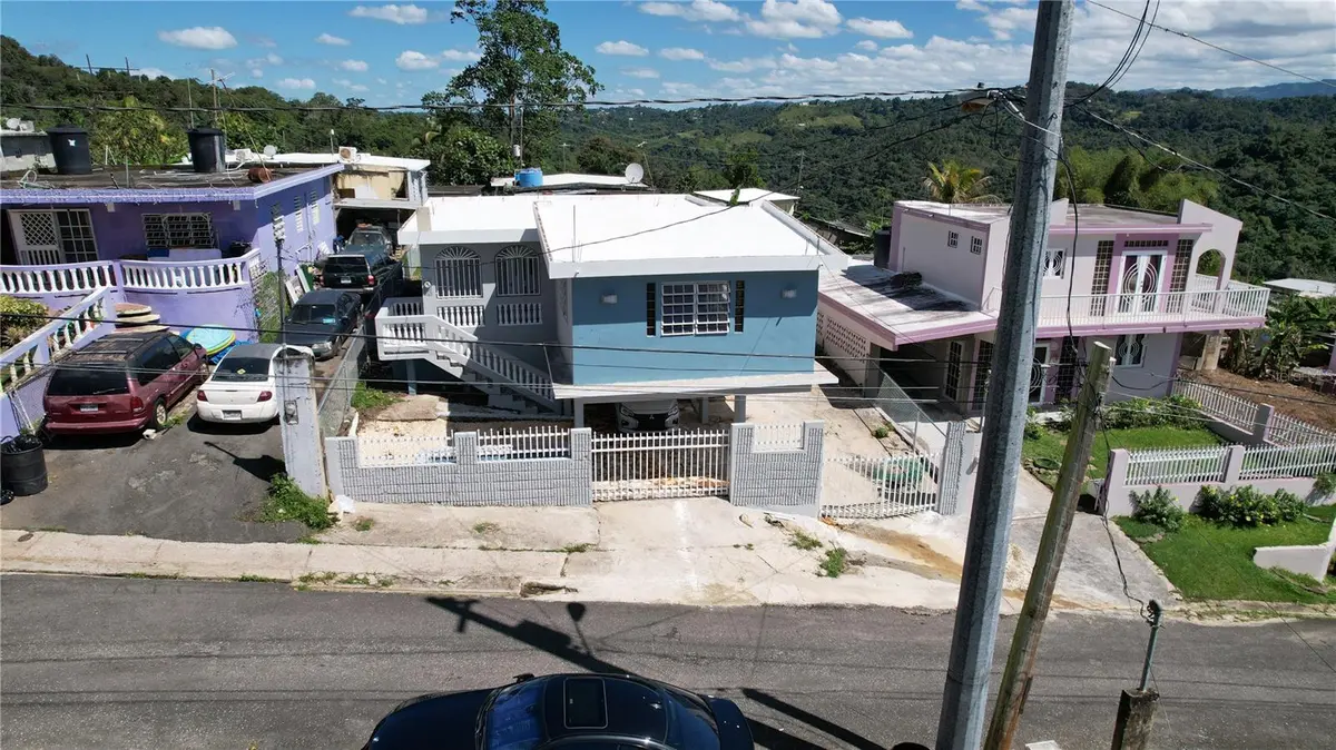 146 BO COORDILLERA #92, Ciales, PR 00638