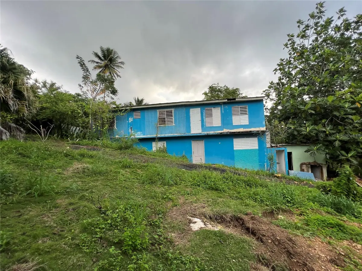 32-7 Amadeo Santiago ST PUENTE WD/ PR-119 INT, Camuy, PR 00627