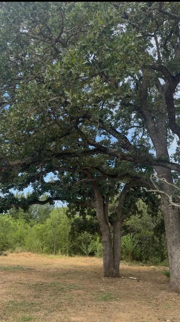 176 Whispering Pines DR, Bastrop, TX 78602