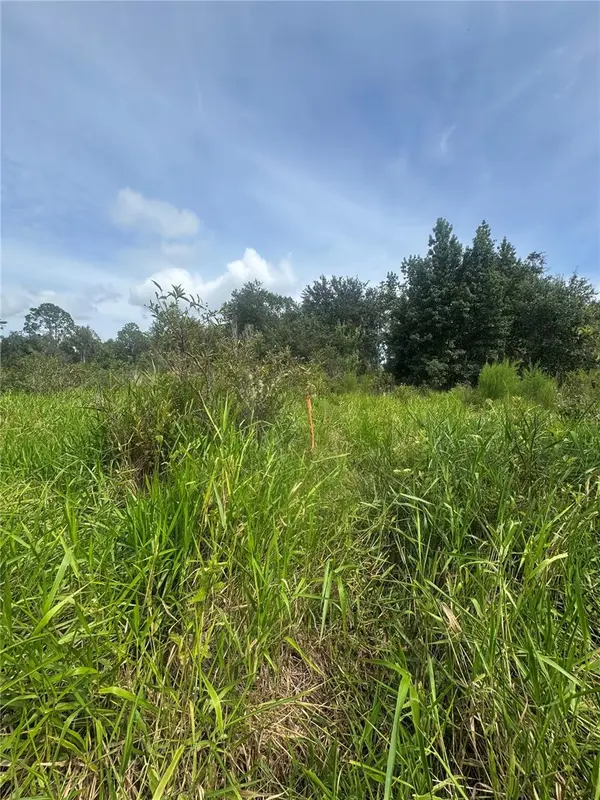 190 SHE SHE RD, Hawthorne, FL 32640