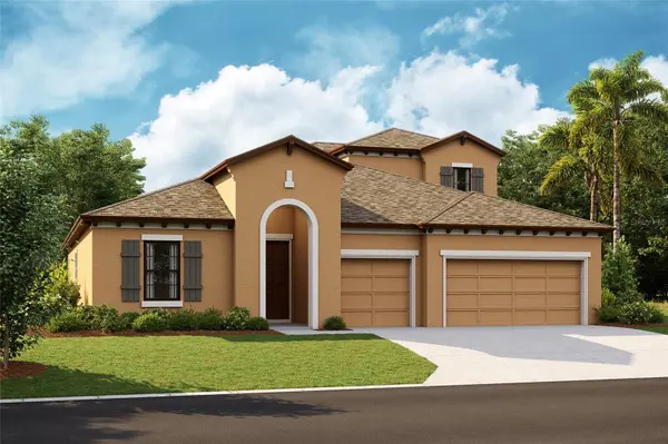 13233 TWIN BRIDGES DR, Riverview, FL 33579