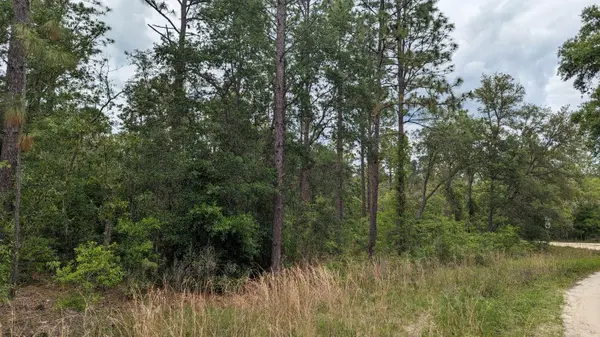 0 SW 131ST CIR LOT 10, Ocala, FL 34481