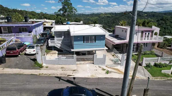 146 BO COORDILLERA #92, Ciales, PR 00638