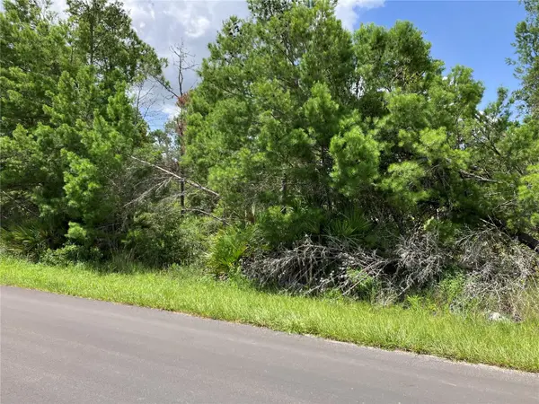FOREHAND RD,  Davenport,  FL 33896