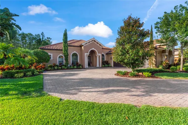 17303 SAN ARINGO PL, Lutz, FL 33548