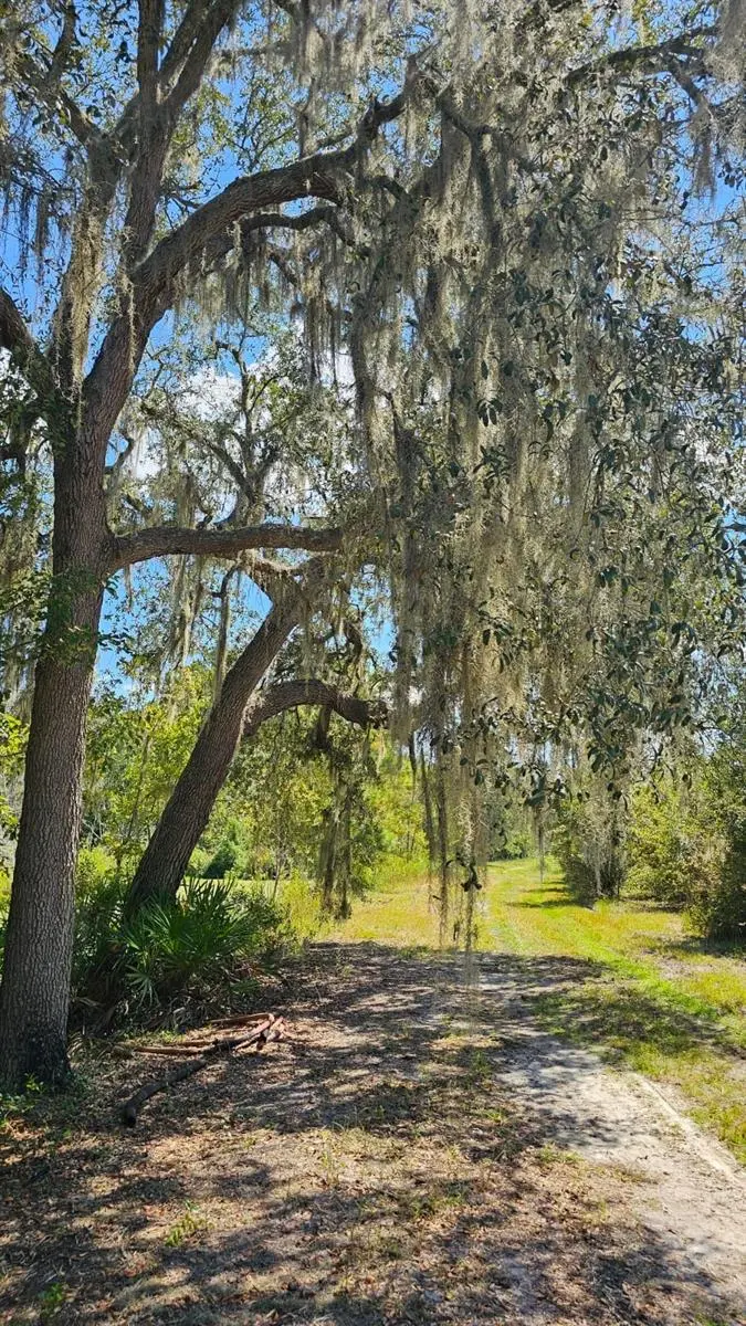SE BLUEBERRY RD, White Springs, FL 32096