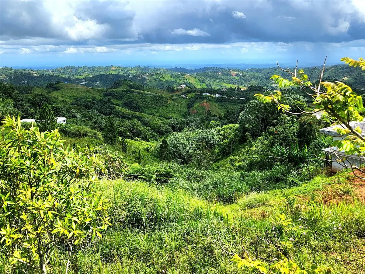 PR 773 QUEBRADILLAS WARD, Barranquitas, PR 00794