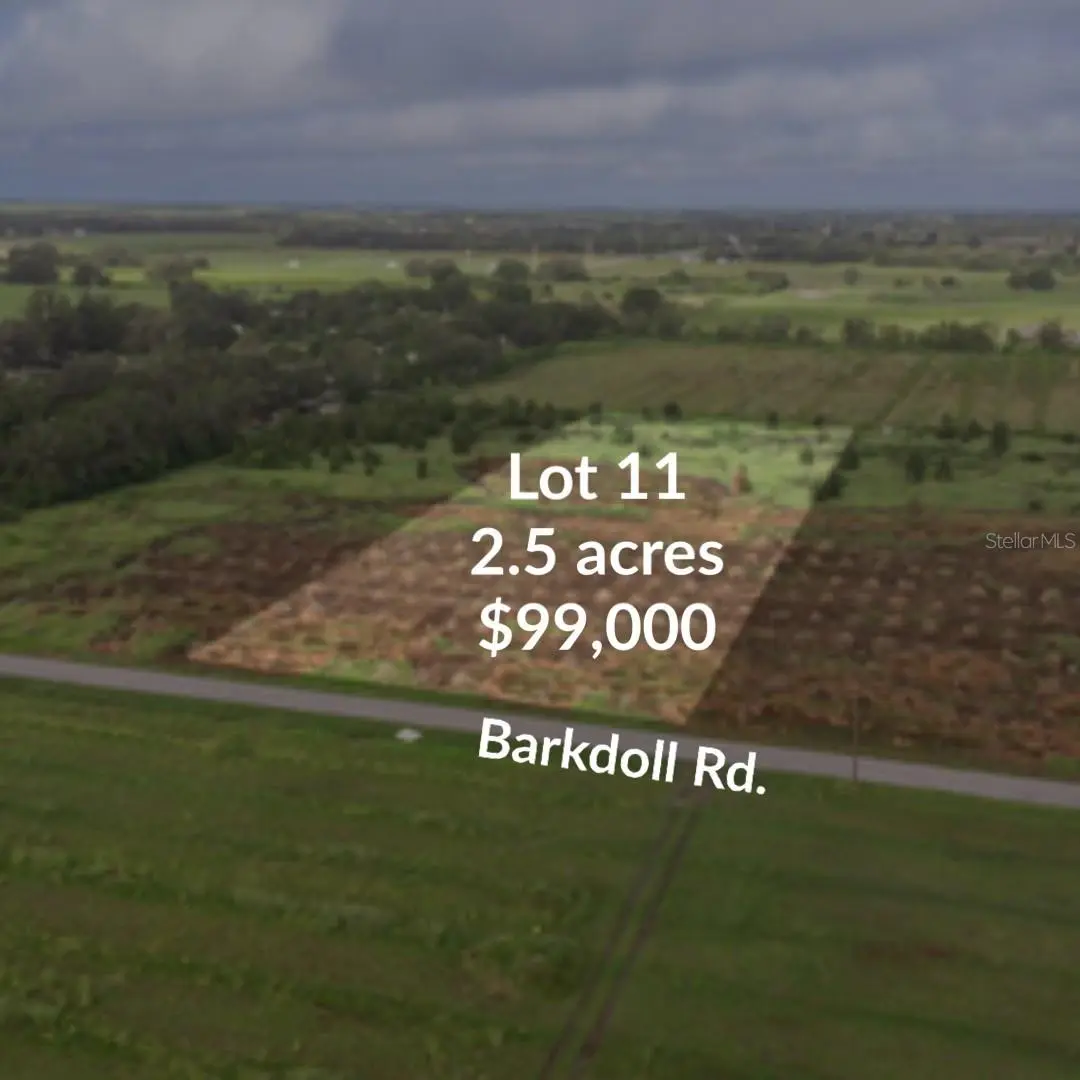 0 BARKDOLL RD #Lot 11, Bowling Green, FL 33834