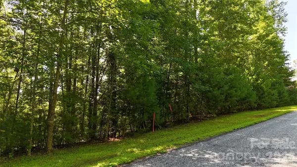 217 Larkhaven DR #53-11, Nebo, NC 28761
