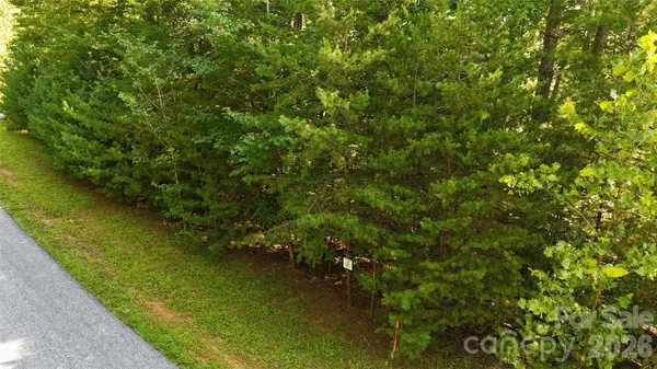217 Larkhaven DR #53-11, Nebo, NC 28761