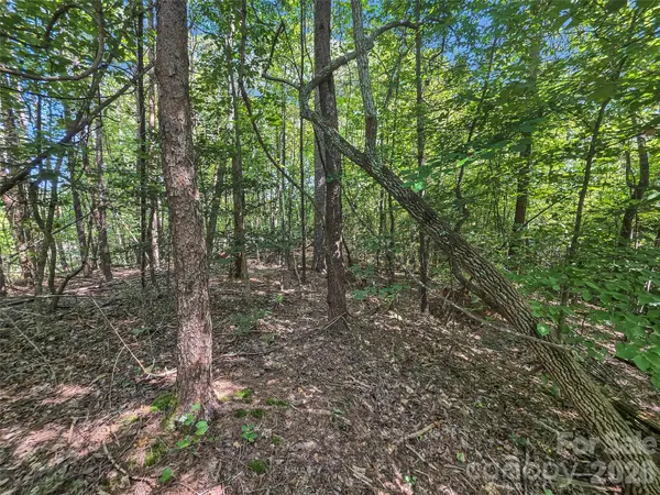 0 Shumont Estates DR #1, Lake Lure, NC 28746