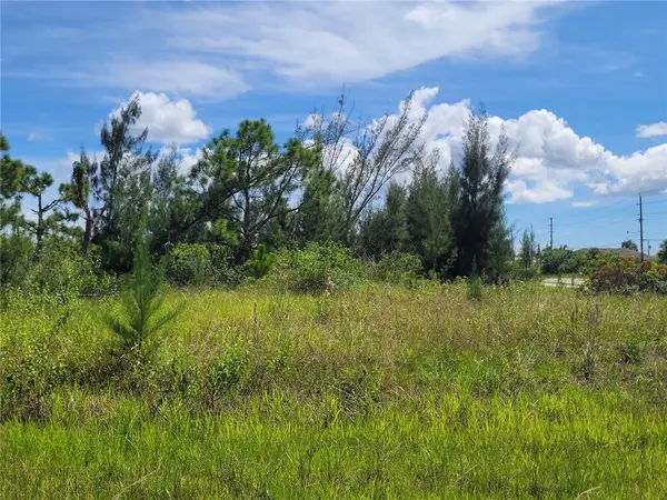 10000 ST PAUL DR, Port Charlotte, FL 33981