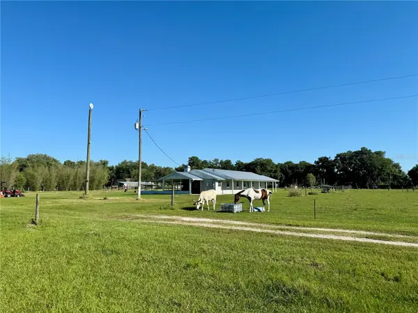 9124 CAREY RD, Lithia, FL 33547