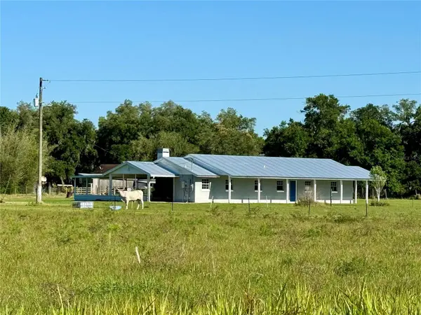 9124 CAREY RD, Lithia, FL 33547