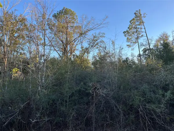 DEER RUN CIR, Alford, FL 32420