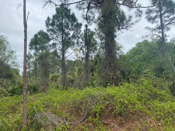 585 S PALOMINO ST, Clewiston, FL 33440