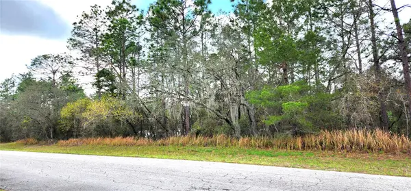 LOT 11 SW 152ND ST, Ocala, FL 34473
