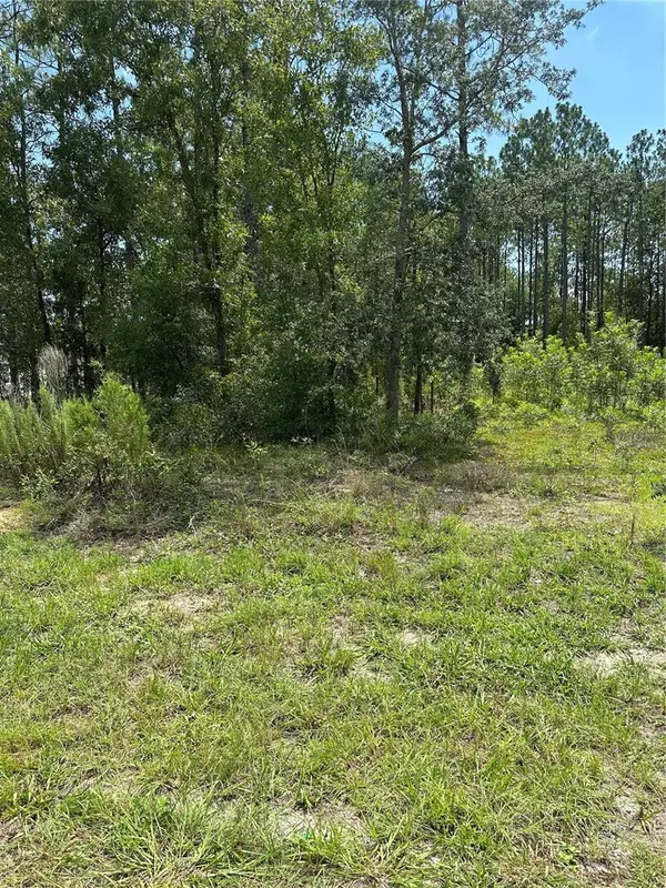 SW 166 CT RD, Ocala, FL 34481