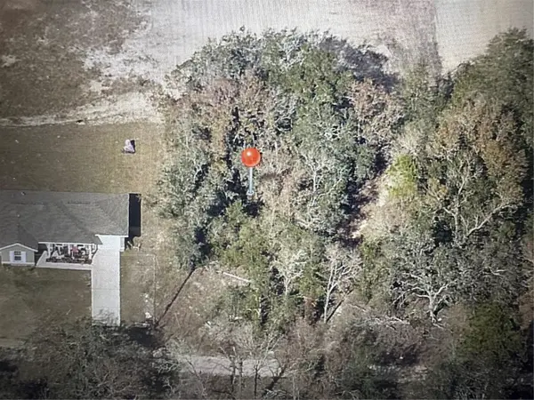 TBD SE 125TH LN, Belleview, FL 34420
