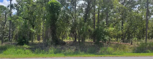 0 NW HILLSDALE AVE, Dunnellon, FL 34431