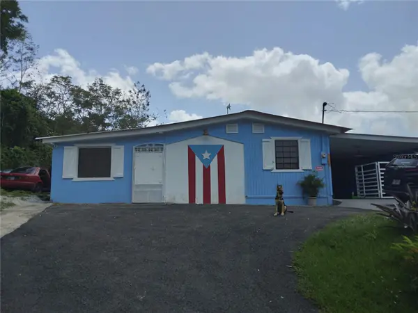 Carr. 156 R777 Km 1.4 CALLE LOS RAMOS, Aguas Buenas, PR 00703