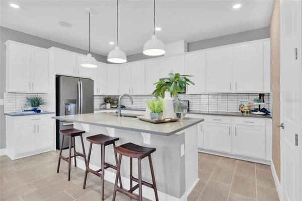 3966 FOXTAIL LN Mount Dora, FL 32757