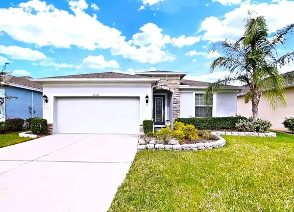 29163 ENNISCRONE DR, San Antonio, FL 33576