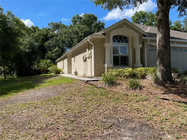 30803 PROUT CT, Wesley Chapel, FL 33543